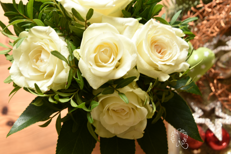 Weiße Rosen am Freitag