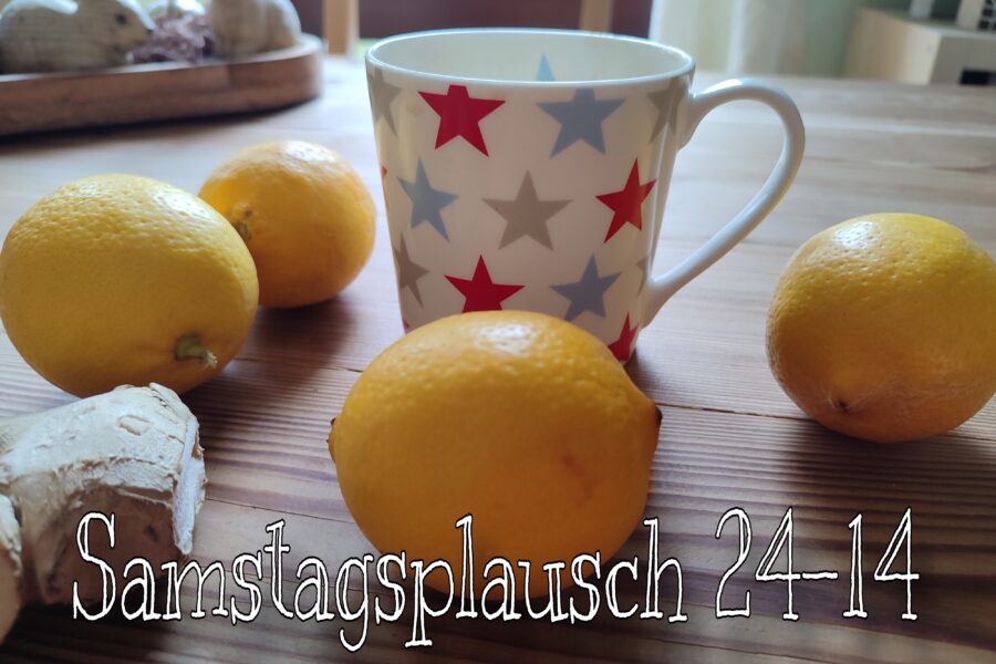 Ingwer und Zitronen {Samstagsplausch 24-14}