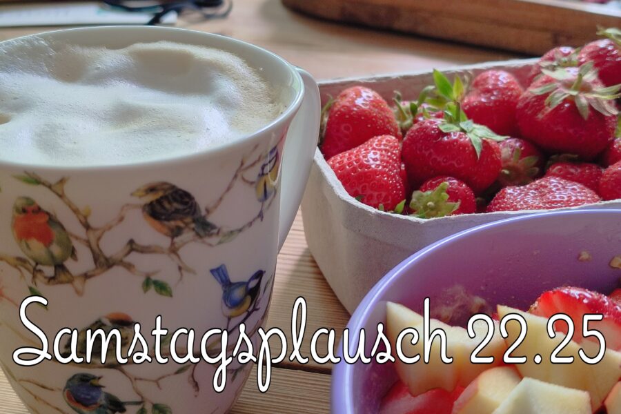 Hühnerbrühe {Samstagsplausch 22.25}