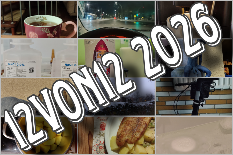 Erster Monat 2026 {12von12 2026}