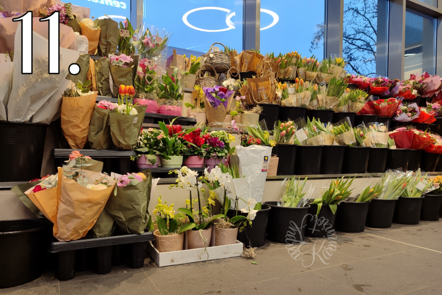 12von12 Februar 26 11