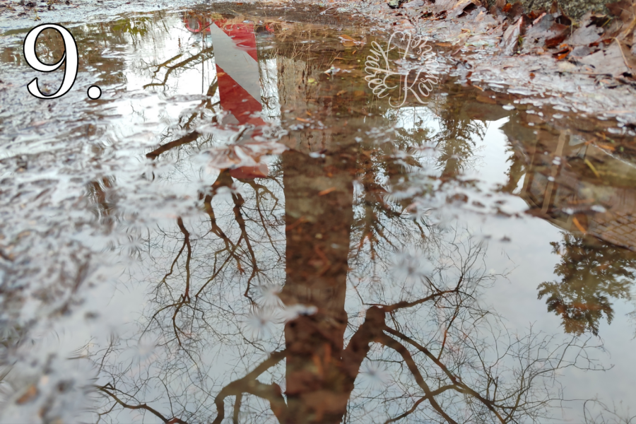 12von12 Februar 26 9