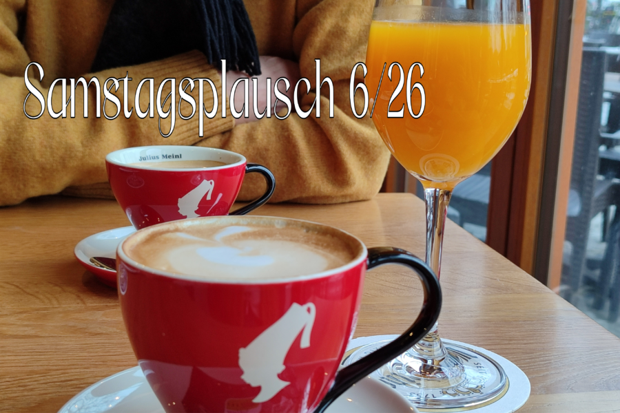 Zeitenspringer {Samstagsplausch 6/26}