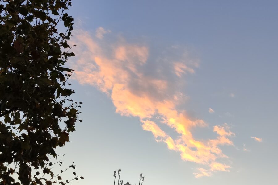 12von12 Oktober 26 10