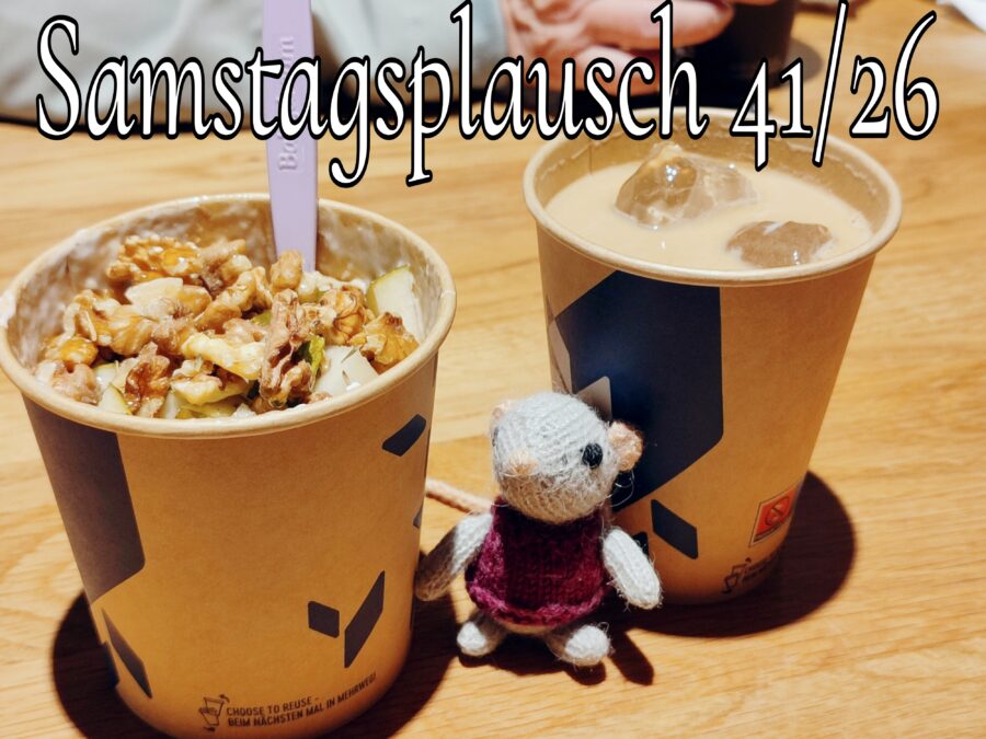 Wieder in Berlin {Samstagsplausch 41/26}